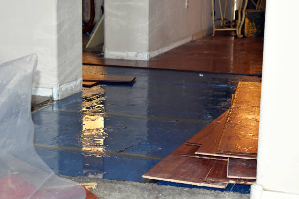 Professional Basement Flood Cleanup technician working in Powell Butte, OR